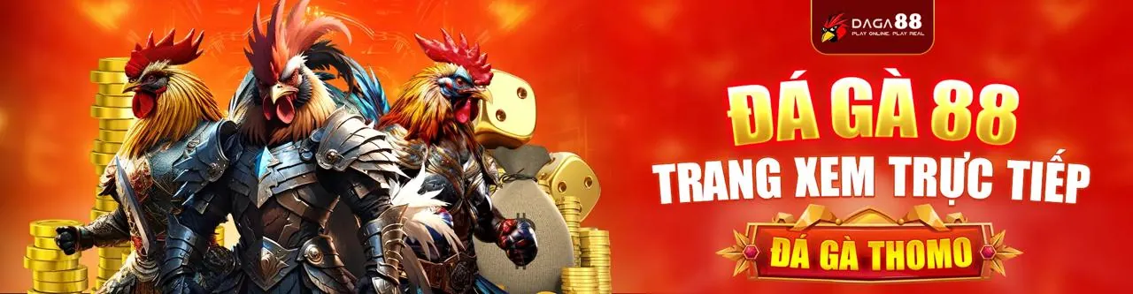 Đá gà trực tuyến đỉnh cao tại 8VND Nổ Hũ